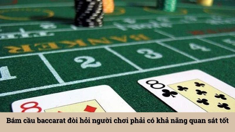 Bám cầu baccarat đòi hỏi người chơi phải có khả năng quan sát tốt