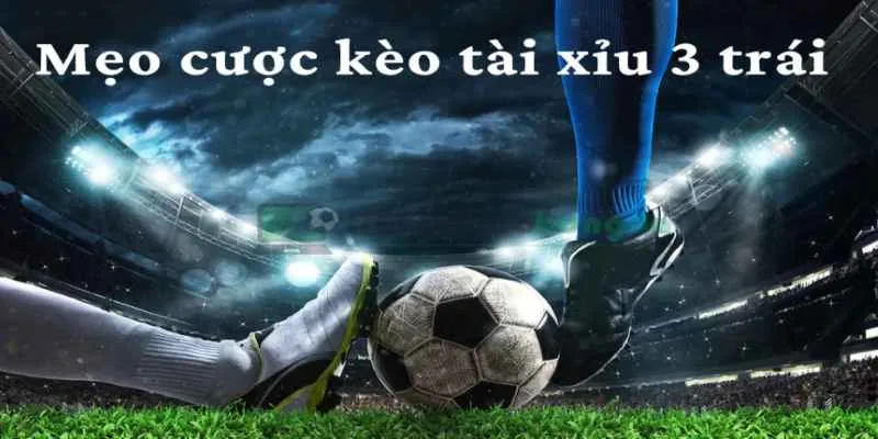 Kinh nghiệm cần thiết khi chơi kèo tài xỉu 3 trái