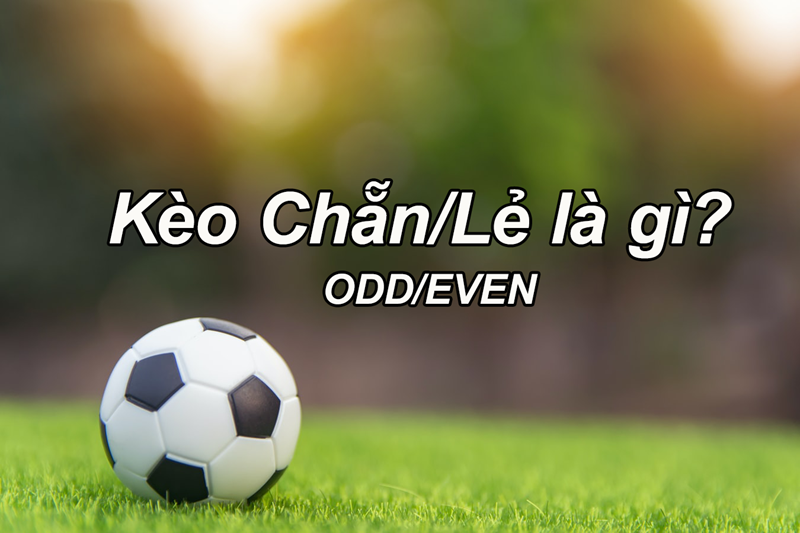 Tìm hiểu chung về khái niệm kèo chẵn lẻ là gì?