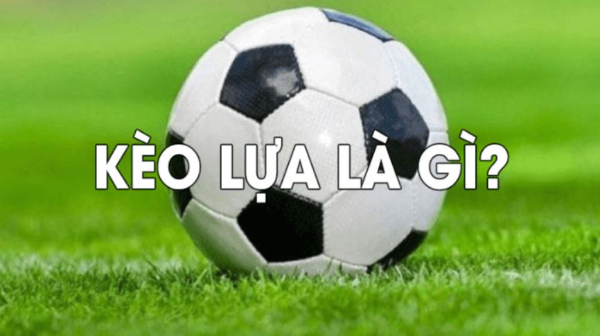 Tìm hiểu thuật ngữ kèo lựa là gì?