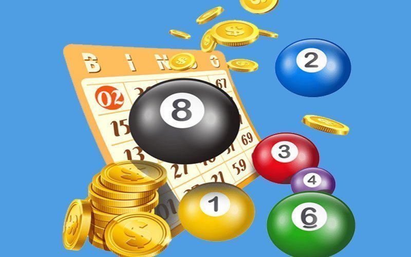 Tính toán kỹ lưỡng khi chọn lô kép nuôi 3 ngày