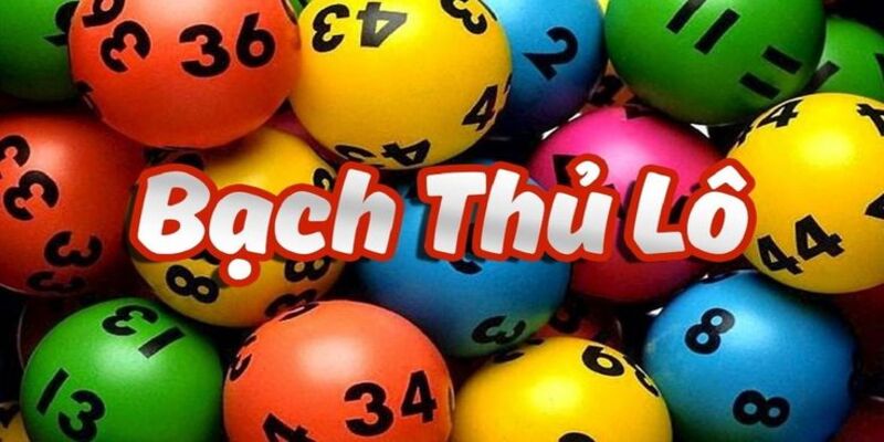 Biết bạch thủ lô là gì để có cách soi cầu chuẩn
